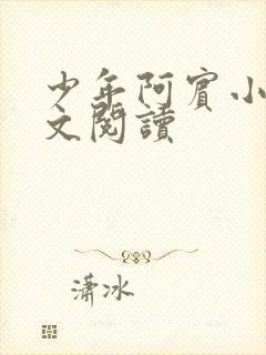 少年阿宾小说全文阅读封面