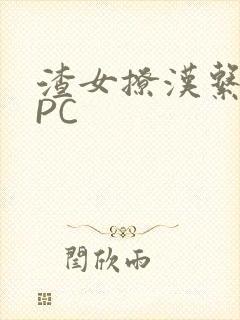 渣女撩汉系统NPC封面