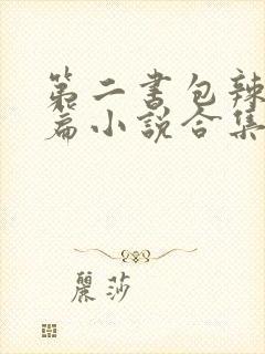 第二书包辣网短篇小说合集