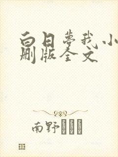 白日梦我小说未删版全文