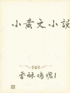 小黄文小说