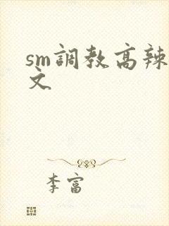 sm调教高辣h文