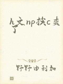 h文np挨c爽了