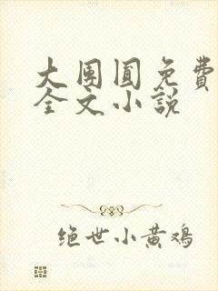 大团圆免费阅读全文小说