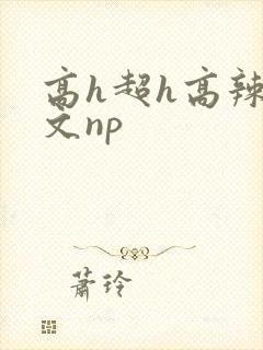 高h超h高辣h文np