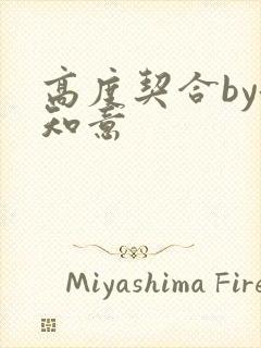 高度契合by洛知意