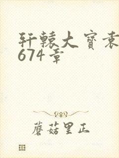 轩辕大宝袁雪妃674章