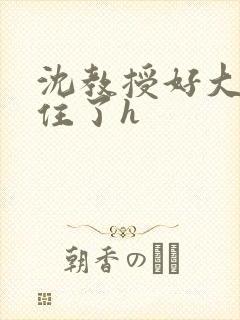 沈教授好大含不住了h