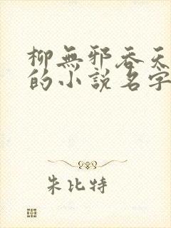 柳无邪吞天神鼎的小说名字