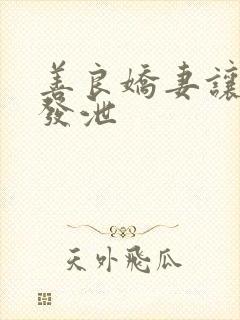 善良娇妻让老丁发泄封面