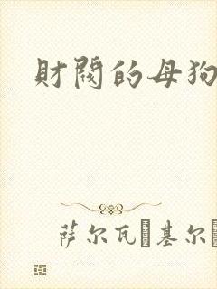 财阀的母狗们