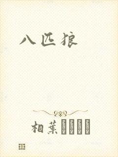 八匹狼