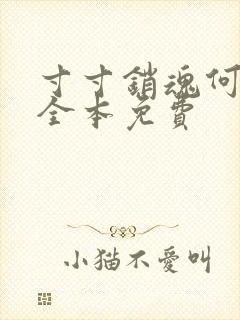 寸寸销魂何生祥全本免费封面