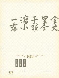 一泻千里金银花露小说全文免费阅读