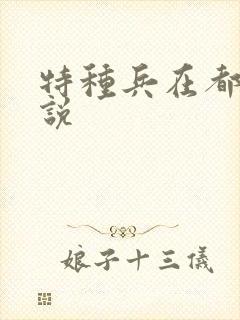 特种兵在都市小说