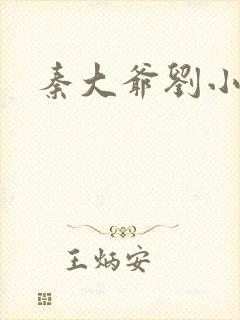 秦大爷刘小静封面