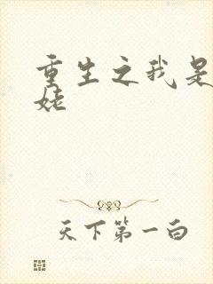 重生之我是刘姥姥