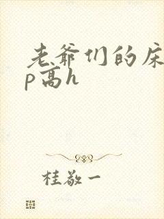 老爷们的床奴np高h