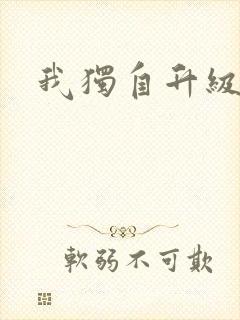 我独自升级2封面