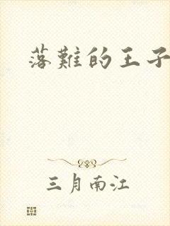 落难的王子封面