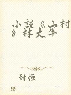 小说《山村情事》林大牛封面