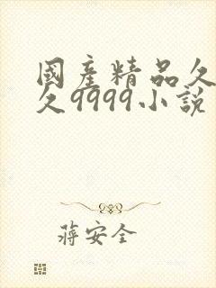 国产精品久久久久9999小说