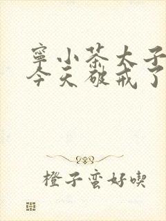 宁小茶太子殿下今天破戒了吗免费阅读