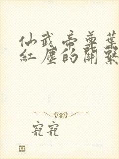 仙武帝尊叶辰和红尘的关系