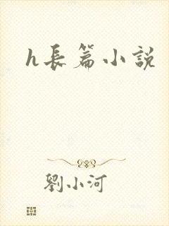 h长篇小说封面