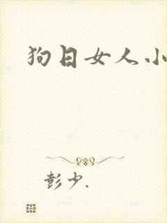 狗日女人小说