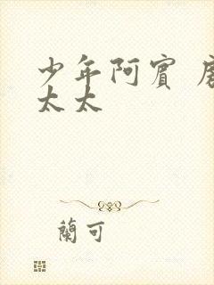 少年阿宾 房东太太封面