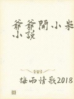 爷爷开小米的包小说