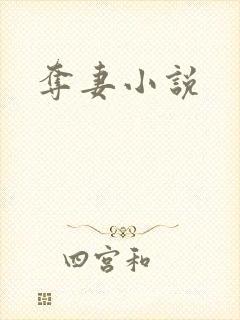 夺妻小说