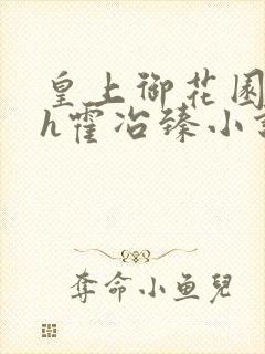 皇上御花园hlh霍冶臻小说