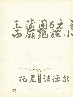 玉蒲团6之色情西厢艳谭小说