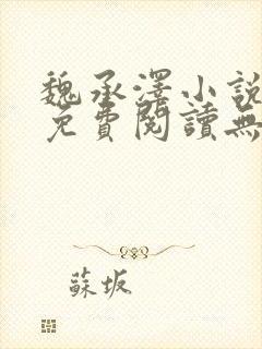 魏承泽小说全文免费阅读无弹窗笔趣