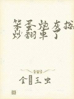 笨蛋炮灰总被爆炒翻车了