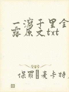 一泻千里金银花露原文txt