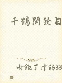 千鹤开发日记封面