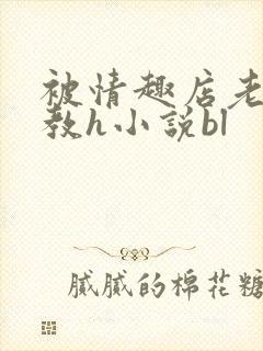 被情趣店老板调教h小说bl