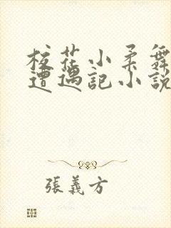 校花小柔舞蹈室遭遇记小说