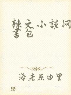 辣文小说网第二书包