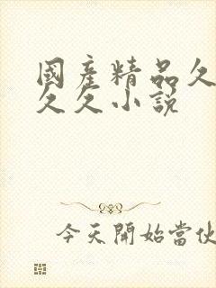 国产精品久久久久久小说