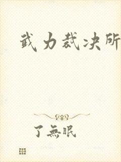 武力裁决所封面