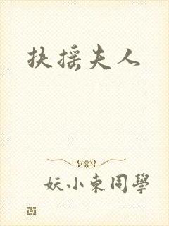 扶摇夫人封面