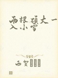 两根硕大一起挤入小雪封面