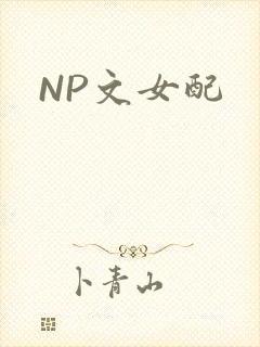 NP文女配
