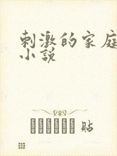 刺激的家庭乱仑小说封面