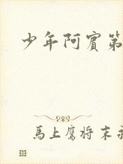 少年阿宾第二部