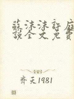 苏沫沫许庭川小说全文免费阅读